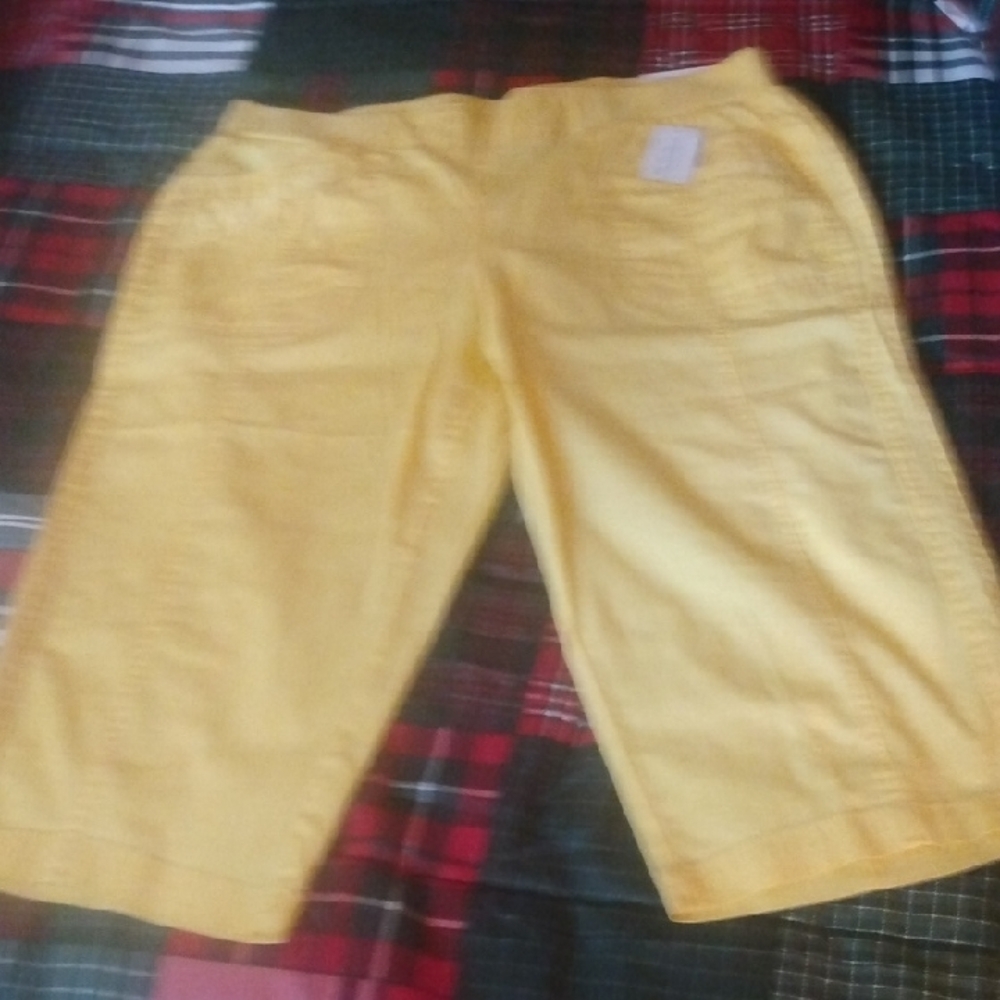 Sunny Yellow Casual Pants